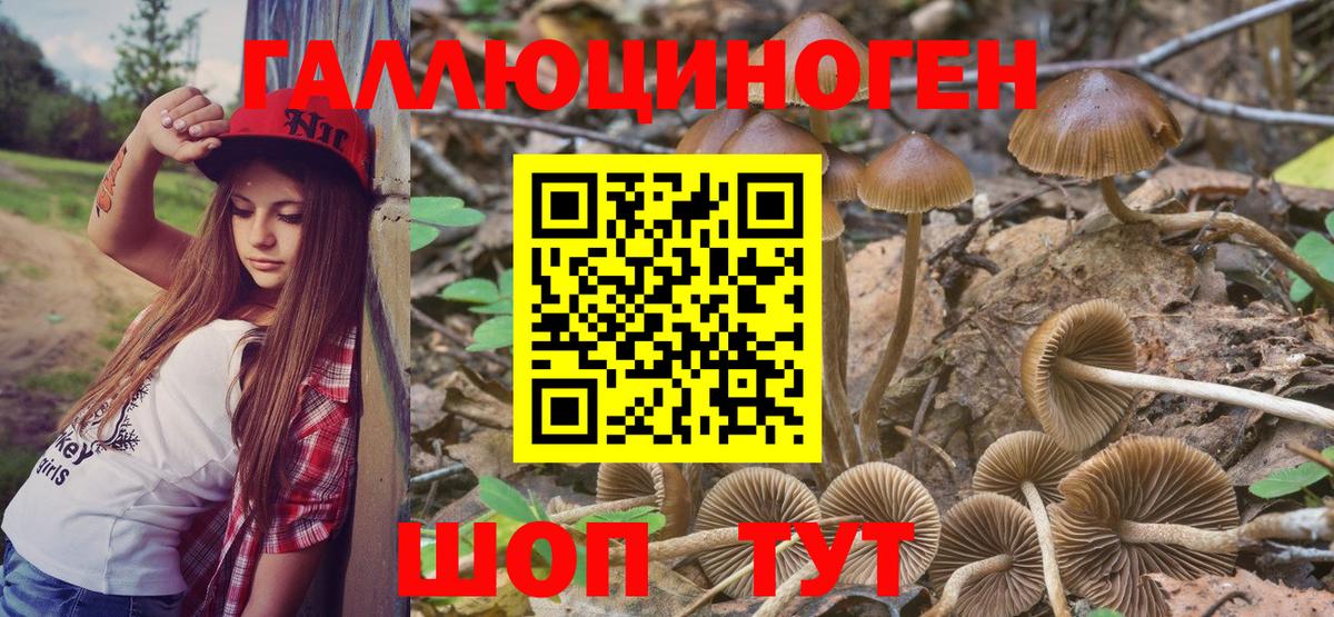 Галлюциногенные грибы мухоморы  Вход с VPN  Кашира 