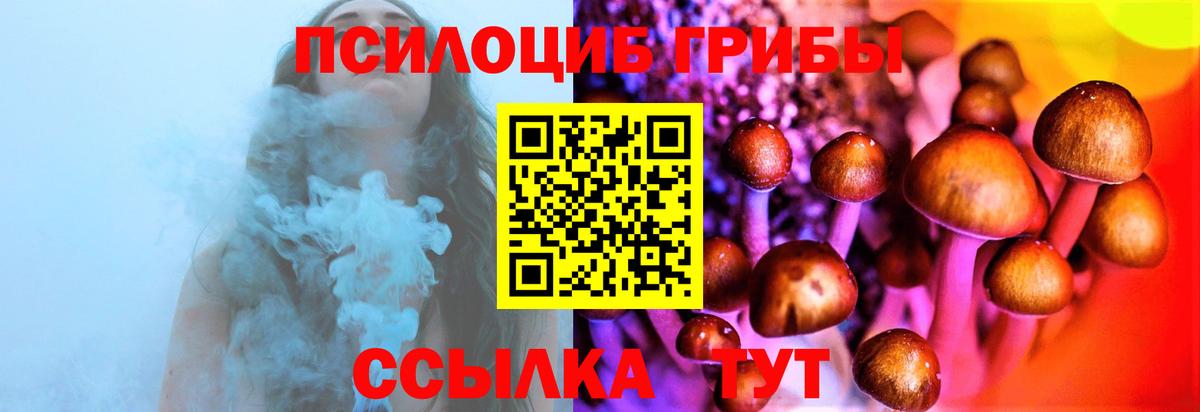 Псилоцибиновые грибы Cubensis Кашира